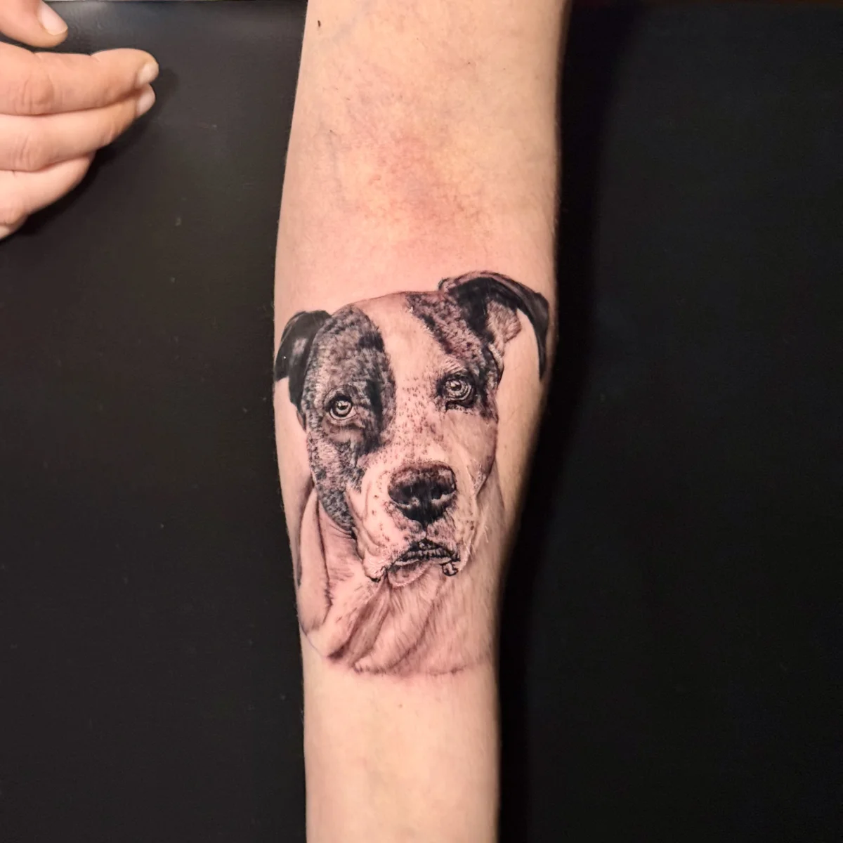 @Fran.Perez.Gibert tattoo